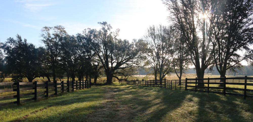 florida cypress creek ranch